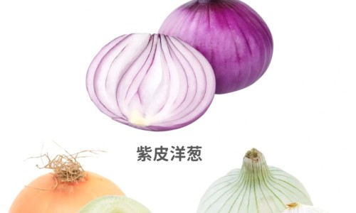 喝三七泡酒有什么功效网三七泡酒的功效与禁忌知识网站,分享喝三七的好处和功效大全