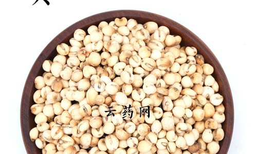 喝三七泡酒有什么功效网三七泡酒的功效与禁忌知识网站,分享喝三七的好处和功效大全