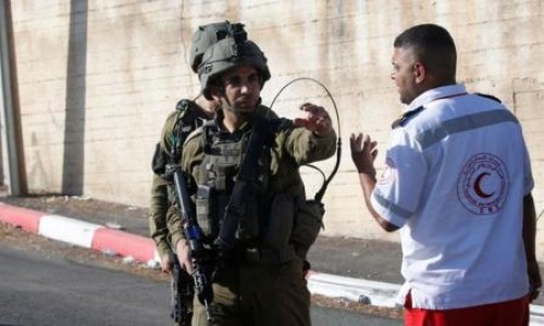 喝三七的好处和功效-喝三七泡酒有什么功效网三七泡酒的功效与禁忌知识网站,分享喝三七的好处和功效大全